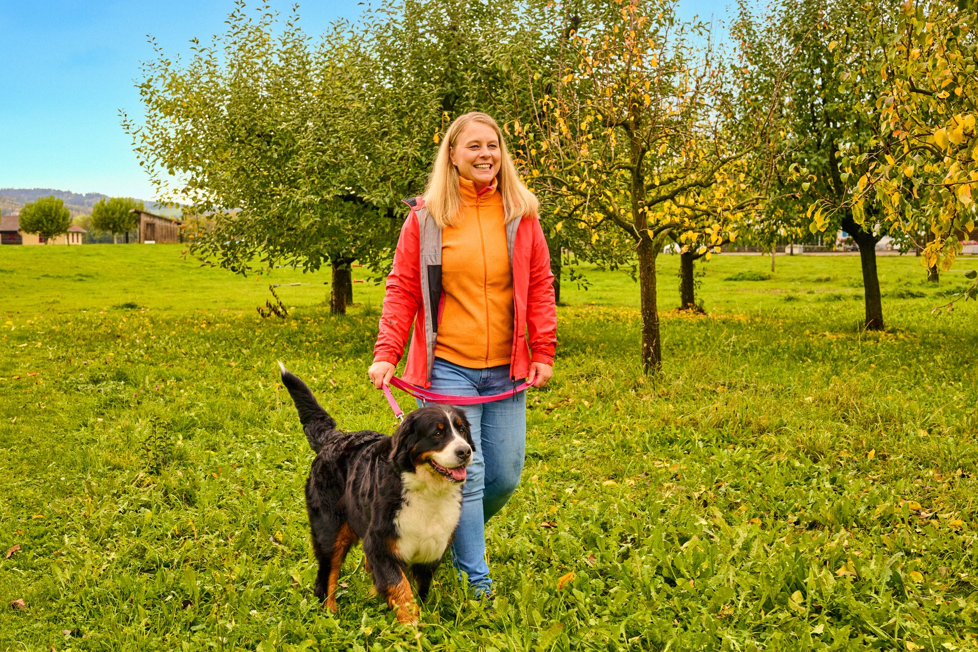 Vater und Sohn spielen mit Hund im Garten